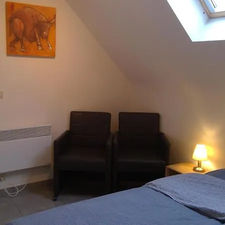 De Blauwvoet Studio Nieuwpoort